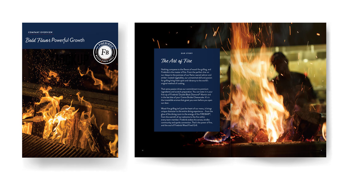 Firebirds Overview Booklet