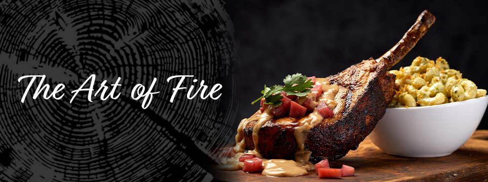 The Art of Fire